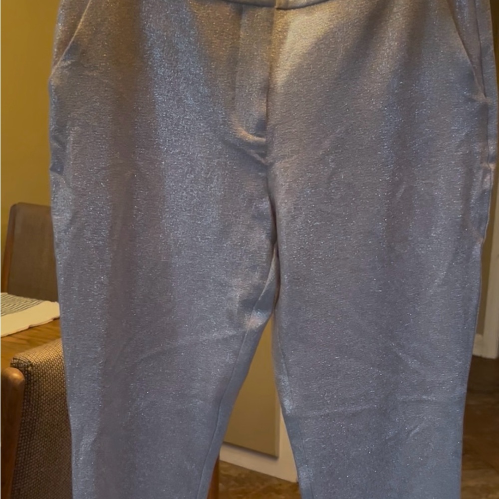 INC International Concepts Silver Shimmery Cropped Pants BRAND NEW NEVER WORN 6